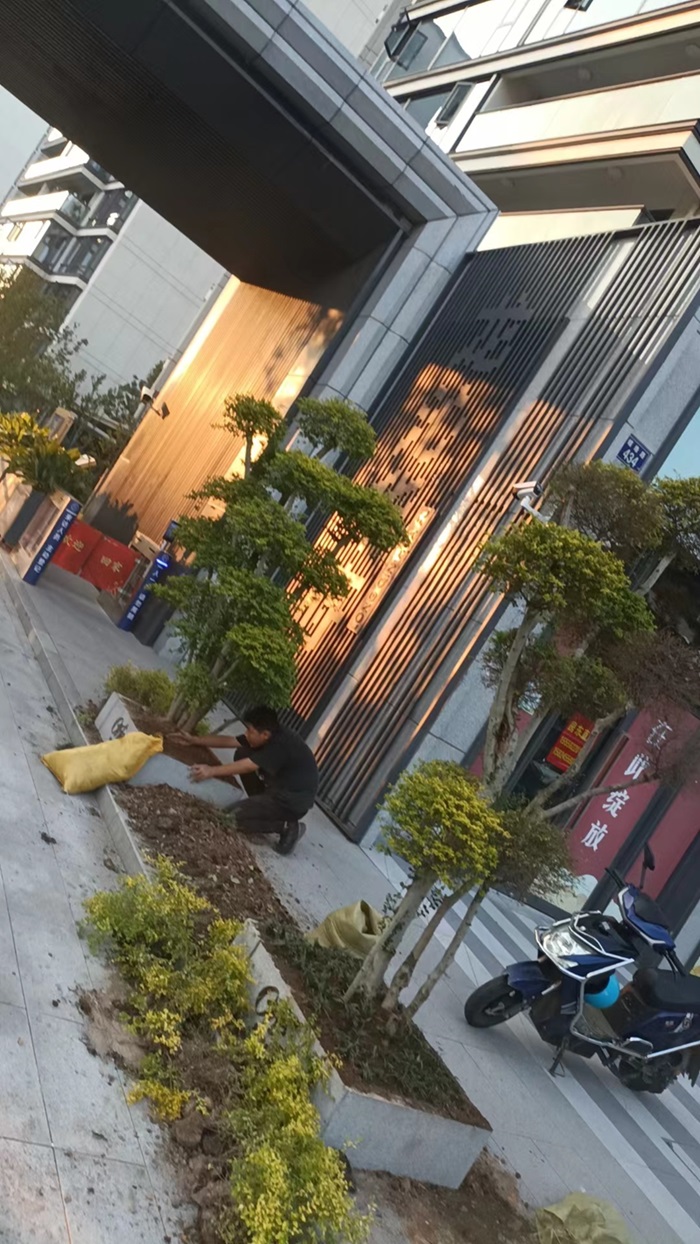 园林庭院设计